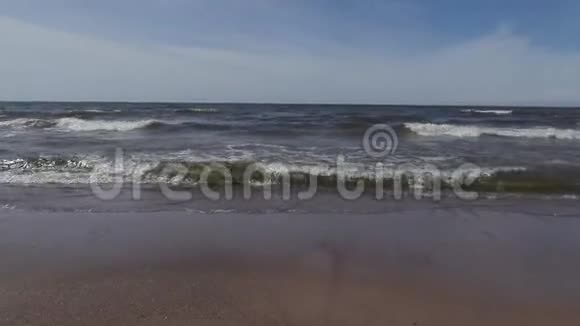 阳光明媚的夏日波罗的海海滩视频的预览图