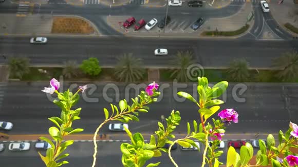 清晨阳台可以看到美丽的粉红色花朵和城市街道汽车和停车场视频的预览图