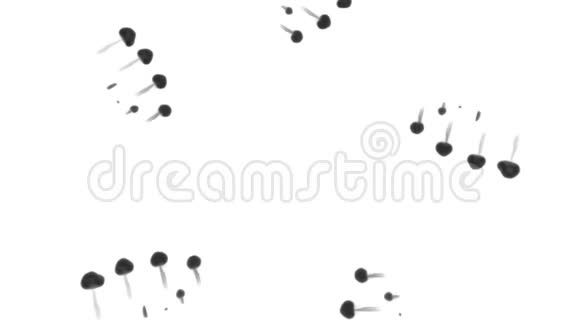 三维渲染黑色墨水在水中的白色背景与卢马哑光作为阿尔法面具的墨水效果或背景圆形视频的预览图