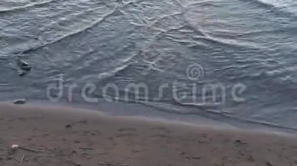 阳光明媚的夏日波罗的海海滩视频的预览图
