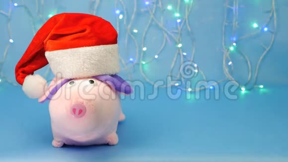 软玩具粉红色的猪在蓝色背景上戴着红色圣诞老人帽子新年灯和罐头2019年的猪年视频的预览图