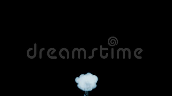 三维动画美丽的烟雾在黑色背景上的视觉效果与烟雾V12视频的预览图