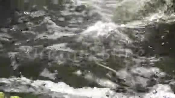 在小河上煮水视频的预览图