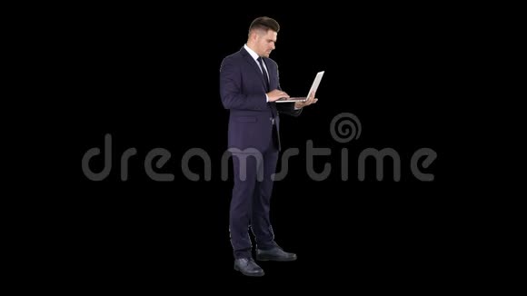 商务人员站立使用笔记本电脑阿尔法频道视频的预览图