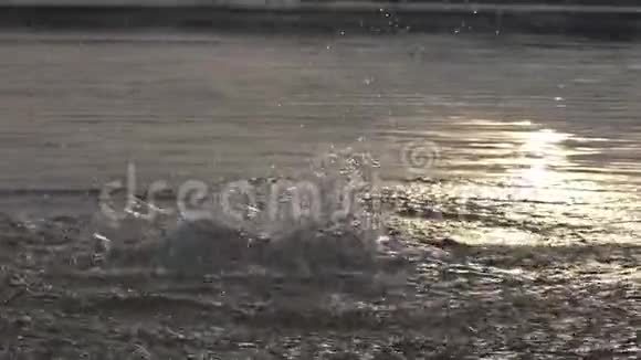 夏天黄昏时分金发碧眼的男子从湖中跳了出来视频的预览图