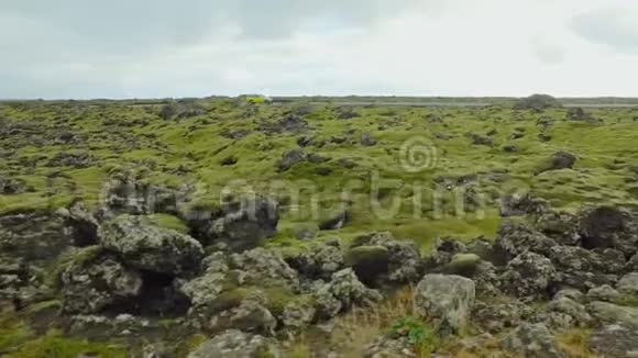 冰岛的自然景观在秋天覆盖着绿色的苔藓靠近有移动汽车的道路视频的预览图