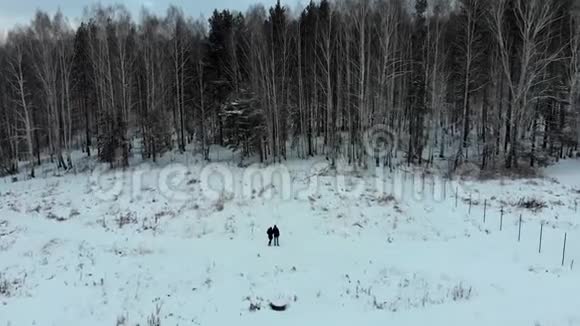 几个人站在雪林附近库存冬天森林前的几个人视频的预览图