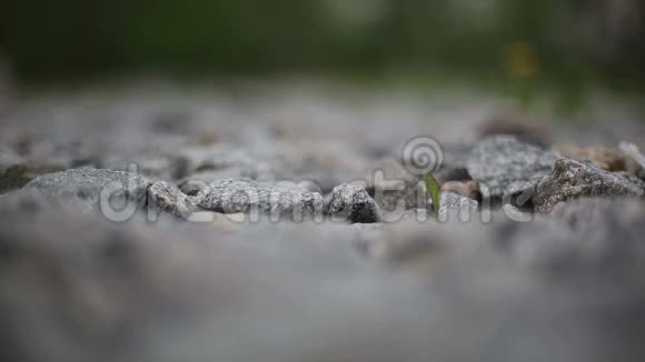 花岗岩砾石视频的预览图