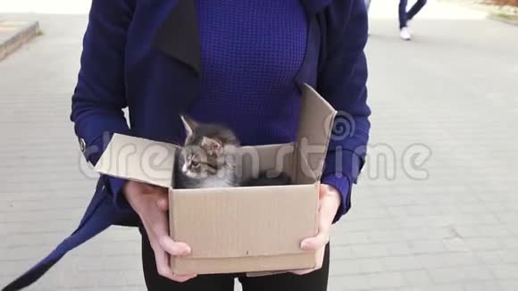 女人手里拿着一个盒子街上有只小猫视频的预览图