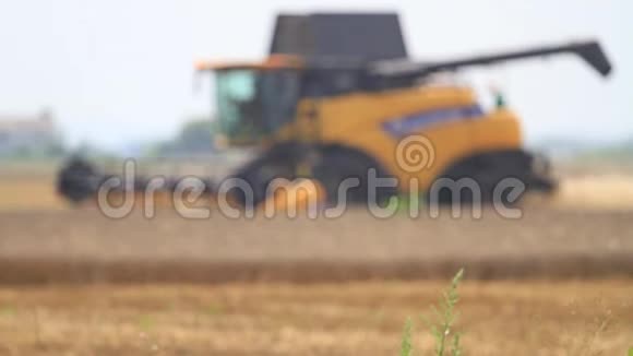 结合卡车收集新作物小麦模糊图像视频的预览图