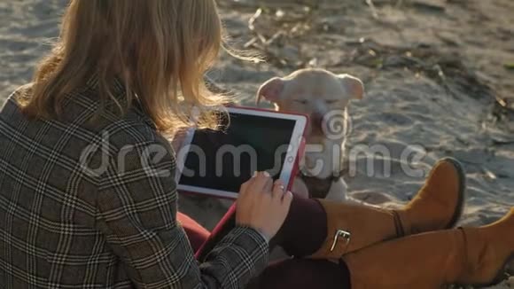 河边海滩上的一位年轻女子用电脑平板电脑喂了一只棕色的龙虾狗春天或寒冷的夏天视频的预览图