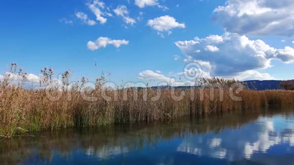 地中海河流在秋天17视频的预览图