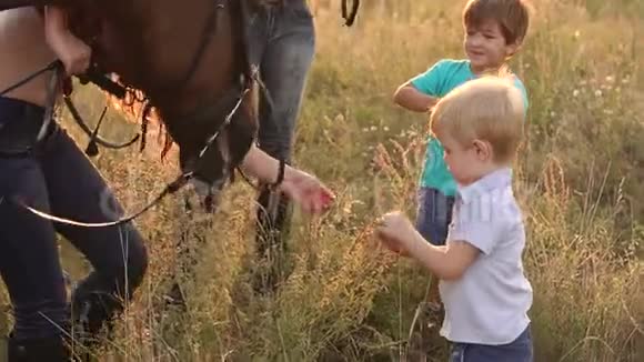 小孩子在田里喂马吃苹果视频的预览图