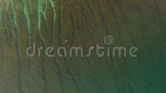 冲浪者在蓝绿色的海水中捕捉海浪视频的预览图