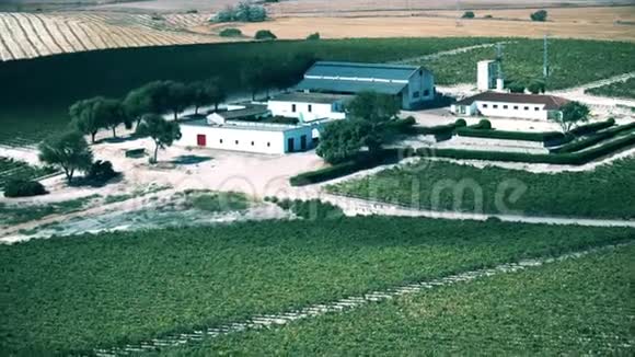 西班牙通用农场和葡萄园的鸟瞰图视频的预览图