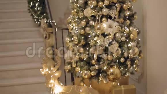 中长倾斜拍摄2019年新年树或圣诞树扁平视频的预览图