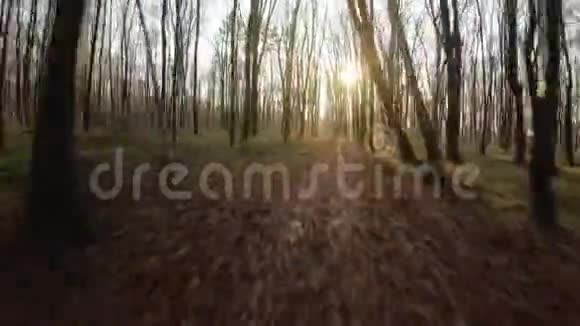 FPV无人驾驶飞机在日落时分快速穿越秋林视频的预览图