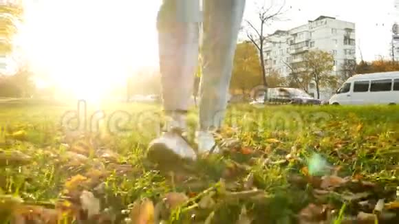 漫步森林公园鞋秋视频的预览图