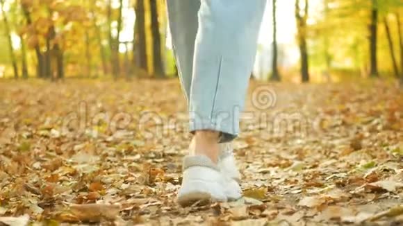 漫步森林公园鞋秋视频的预览图