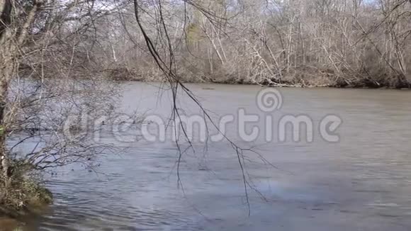 佐治亚州查塔霍切河一个横跨查塔霍切河的平底锅水位上有树木视频的预览图