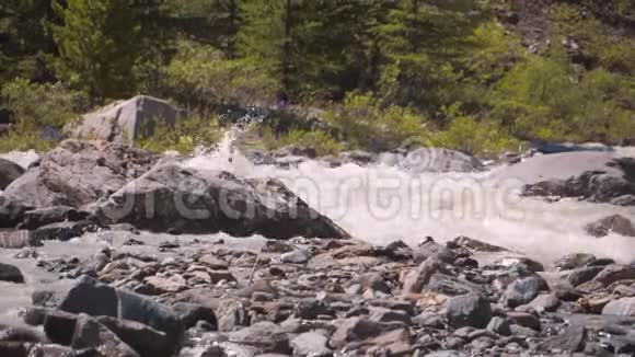 西伯利亚的山河视频的预览图