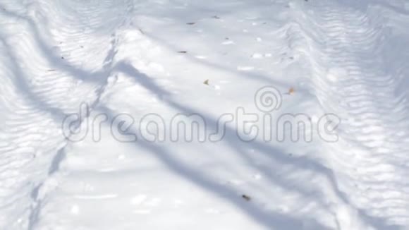冬林中的脚印视频的预览图