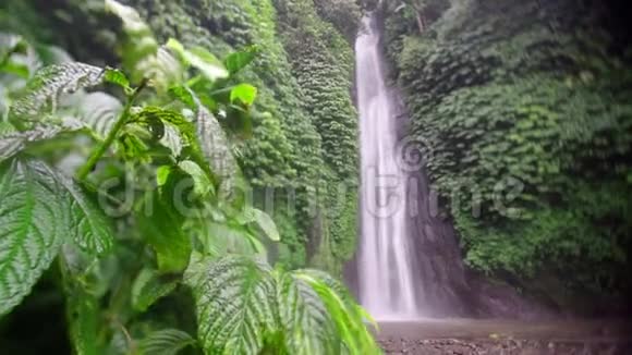 巴厘岛自然瀑布视频的预览图