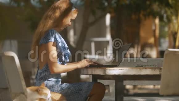 电脑红猫座上的可爱女孩类型视频的预览图