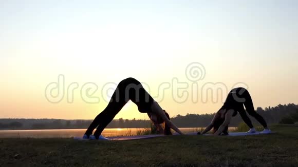 两位年轻女性在日落时做瑜伽狗抬头和向下运动视频的预览图