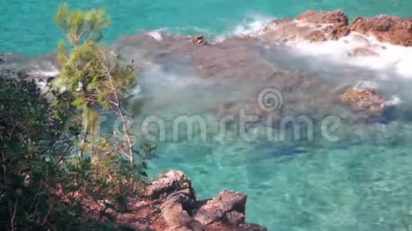 大海拍岸浪风景如画的松树生长在海洋的岩石海岸上视频的预览图