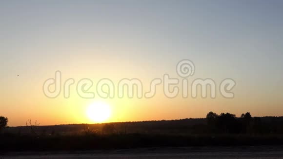 小男孩在日落时慢动作地在一个野湖畔奔跑和跳跃视频的预览图