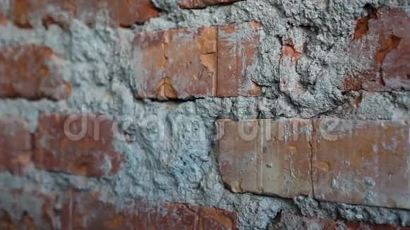 红砖墙背景视频的预览图