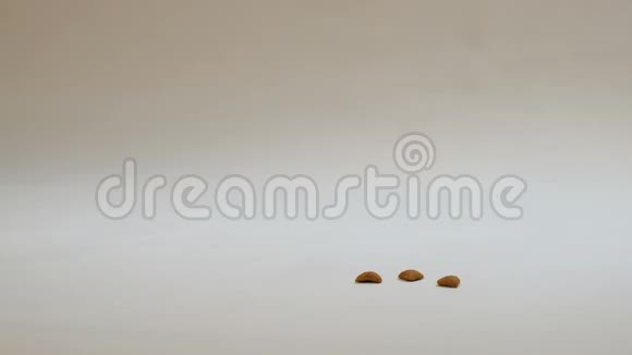 猫繁殖唐斯芬克斯为宠物吃食物白色背景上三片三角形棕色的干猫食物视频的预览图