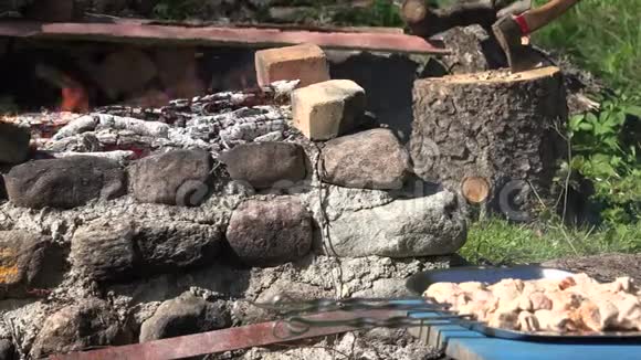 在花园壁炉里的肉和篝火燃烧火焰改变焦点4K视频的预览图