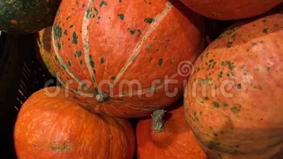 市场上不同大小的橙色南瓜堆秋天或秋天的收获视频的预览图