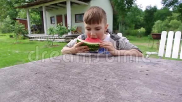 男孩在吃西瓜视频的预览图