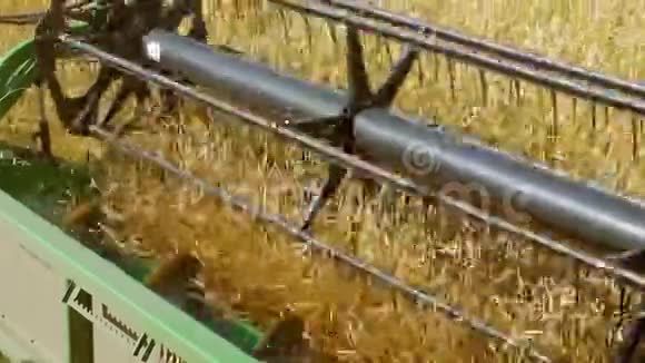 联合收割机在农田收割小麦视频的预览图
