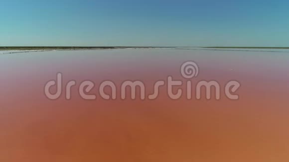一位在蓝天背景下飞过粉红湖的宇航员视频的预览图