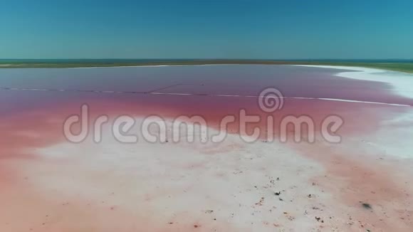 人们沿着提取盐的粉红湖散步从山顶上看到视频的预览图