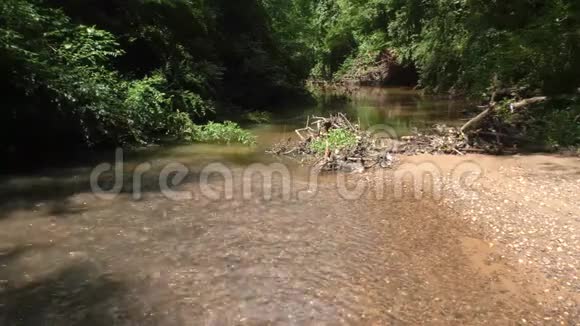 佐治亚州塞威尔溪夏季塞威尔溪从相机流出的景色视频的预览图