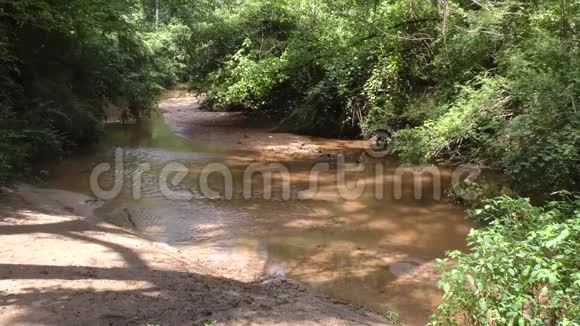 佐治亚州塞威尔溪夏季塞威尔溪流入树林的上游景观视频的预览图