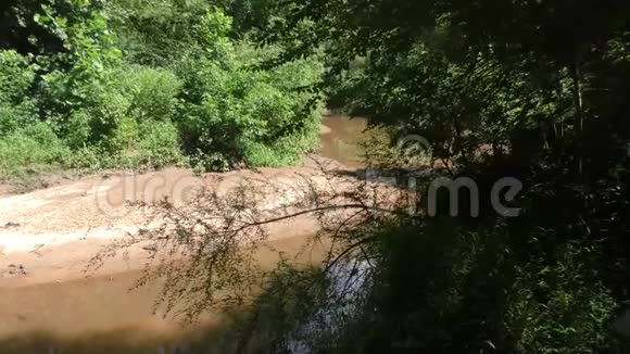 佐治亚州塞威尔溪夏季沿着塞威尔溪的沙洲放大视频的预览图