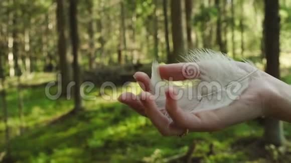 森林中的白色羽毛瀑布视频的预览图