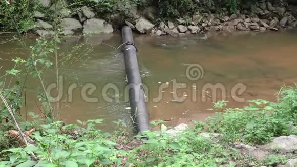佐治亚州塞威尔溪夏季一个放大的水管跨越塞威尔溪视频的预览图