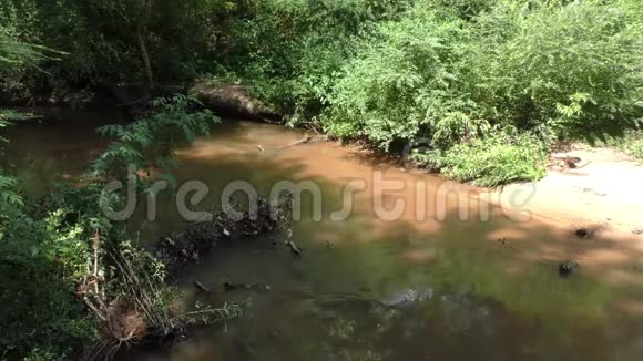 佐治亚州塞威尔溪夏季塞威尔溪的风景与树木沙子和枯枝视频的预览图