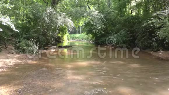 佐治亚州塞威尔溪夏季塞威尔溪的景色因为它流向相机视频的预览图