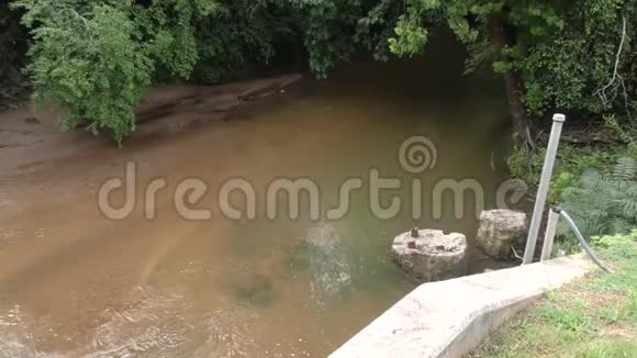 佐治亚州塞威尔溪夏季放大观看塞威尔溪在树下流动的景色视频的预览图