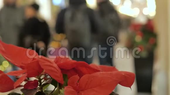 商场里喜庆的气氛前景中有一朵装饰花不在焦点的人走路和买礼物视频的预览图