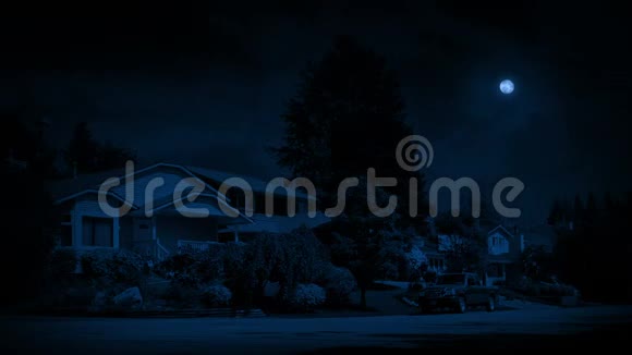 郊外满月的微风之夜视频的预览图
