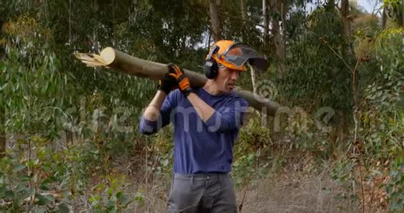 伐木工人拿着4K的木头视频的预览图